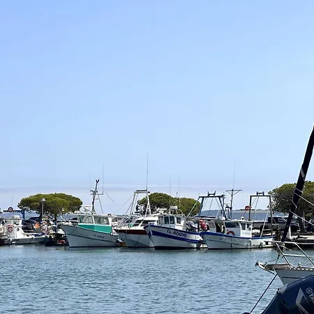 Hyealb - Pour 3 Personnes Sur Le Port D'hyeres דירה הייר