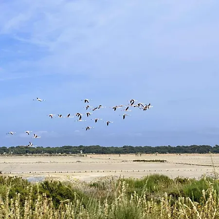 Hyealb - Pour 3 Personnes Sur Le Port D'hyeres דירה