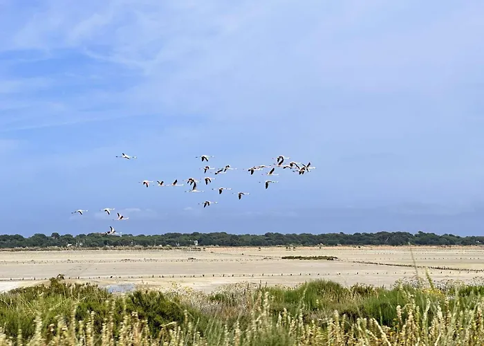 Hyealb - Pour 3 Personnes Sur Le Port D'hyeres Lejlighed